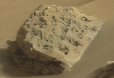 Ein Stein voller "Würmer", NASA JPL Caltech, GigapanKrug oder Schale, NASA JPL Caltech,  Gigapan, Neville Thompson