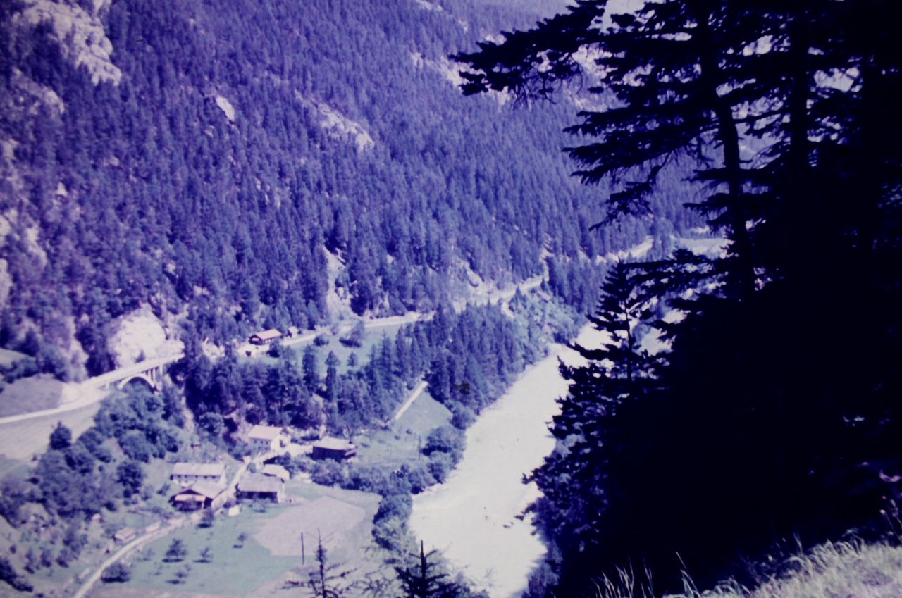 Hoch in den Alpen 1955, kasaan media, 2019