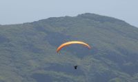 My Gomera (1)